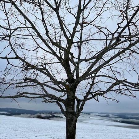 Villa Eifel-Bau-Traum Schlich Wershofen Exterior foto
